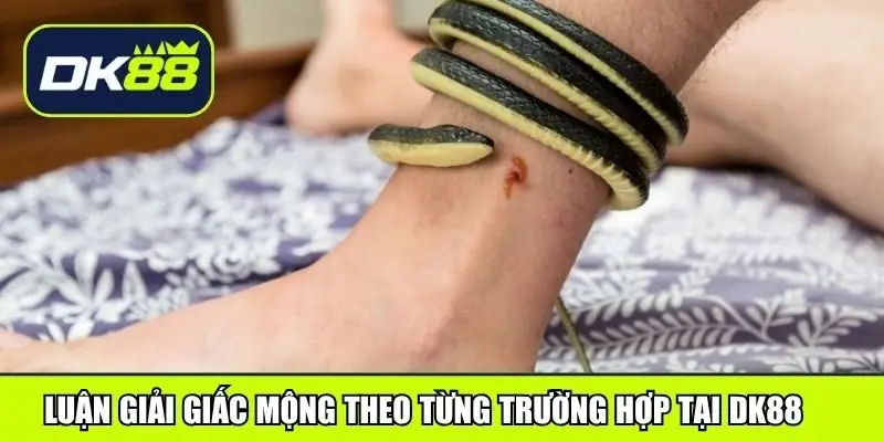 Luận giải giấc mộng theo từng trường hợp tại DK88