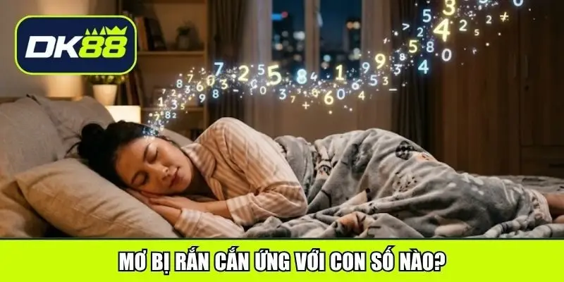 Mơ bị rắn cắn ứng với con số nào?
